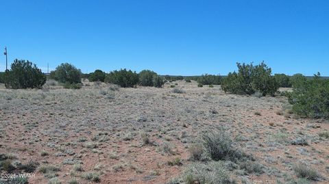 Tiny photo for 9671 Navajo Lane, Snowflake, AZ 85937 (MLS # 257360)