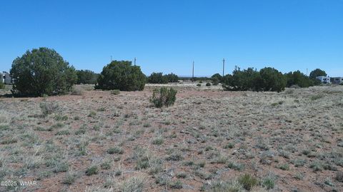 Tiny photo for 9671 Navajo Lane, Snowflake, AZ 85937 (MLS # 257360)