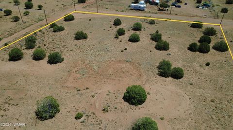 Tiny photo for 9671 Navajo Lane, Snowflake, AZ 85937 (MLS # 257360)
