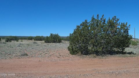 Tiny photo for 9671 Navajo Lane, Snowflake, AZ 85937 (MLS # 257360)