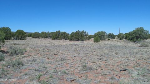 Tiny photo for 9671 Navajo Lane, Snowflake, AZ 85937 (MLS # 257360)