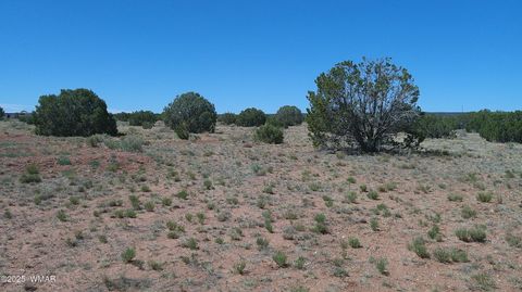 Tiny photo for 9671 Navajo Lane, Snowflake, AZ 85937 (MLS # 257360)