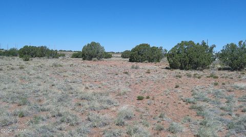 Tiny photo for 9671 Navajo Lane, Snowflake, AZ 85937 (MLS # 257360)