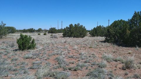Tiny photo for 9671 Navajo Lane, Snowflake, AZ 85937 (MLS # 257360)