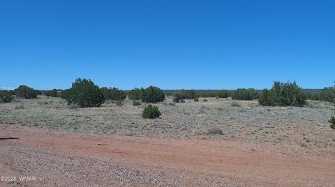Tiny photo for 9671 Navajo Lane, Snowflake, AZ 85937 (MLS # 257360)