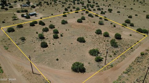 Tiny photo for 9671 Navajo Lane, Snowflake, AZ 85937 (MLS # 257360)