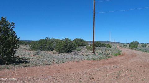 Tiny photo for 9671 Navajo Lane, Snowflake, AZ 85937 (MLS # 257360)
