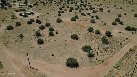 Tiny photo for 9671 Navajo Lane, Snowflake, AZ 85937 (MLS # 257360)