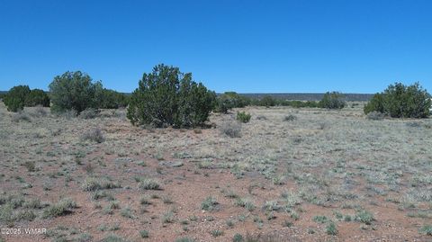 Tiny photo for 9671 Navajo Lane, Snowflake, AZ 85937 (MLS # 257360)