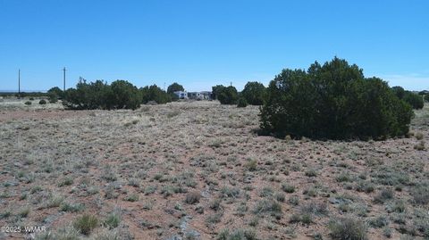 Tiny photo for 9671 Navajo Lane, Snowflake, AZ 85937 (MLS # 257360)