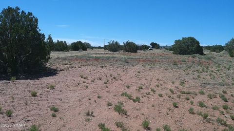 Tiny photo for 9671 Navajo Lane, Snowflake, AZ 85937 (MLS # 257360)