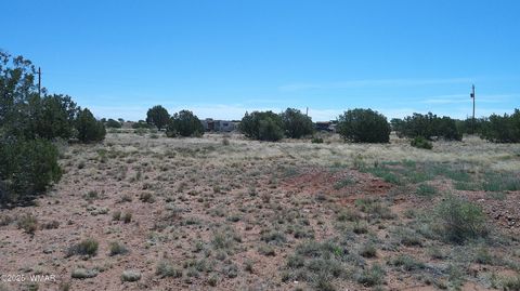 Tiny photo for 9671 Navajo Lane, Snowflake, AZ 85937 (MLS # 257360)