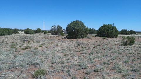 Tiny photo for 9671 Navajo Lane, Snowflake, AZ 85937 (MLS # 257360)