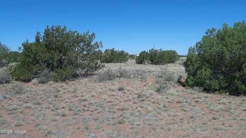 Tiny photo for 9671 Navajo Lane, Snowflake, AZ 85937 (MLS # 257360)