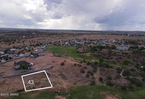 Photo of 1778 W Stagecoach Lane, Snowflake, AZ 85937 (MLS # 256897)