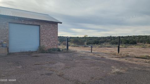 Photo of 3538 S Highway 77, Taylor, AZ 85939 (MLS # 258480)