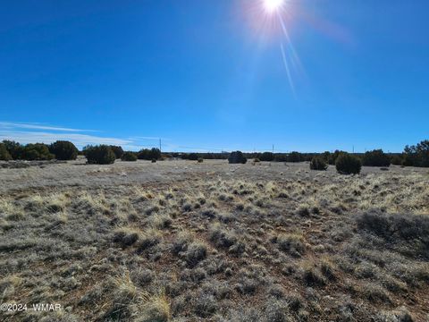 Tiny photo for 1968 Ridgeway Road, Show Low, AZ 85901 (MLS # 257157)
