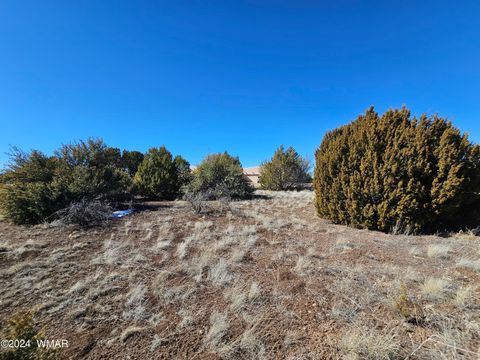 Tiny photo for 1968 Ridgeway Road, Show Low, AZ 85901 (MLS # 257157)
