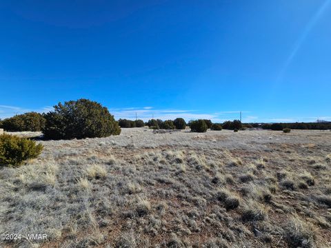 Tiny photo for 1968 Ridgeway Road, Show Low, AZ 85901 (MLS # 257157)
