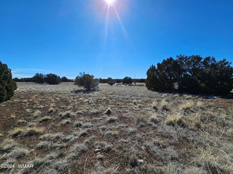 Tiny photo for 1968 Ridgeway Road, Show Low, AZ 85901 (MLS # 257157)