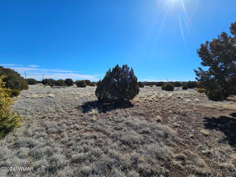 Tiny photo for 1968 Ridgeway Road, Show Low, AZ 85901 (MLS # 257157)