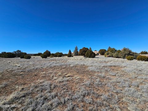Tiny photo for 1968 Ridgeway Road, Show Low, AZ 85901 (MLS # 257157)
