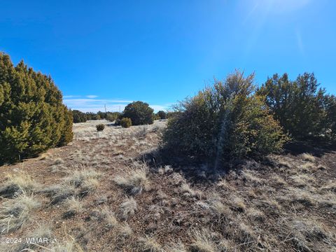 Tiny photo for 1968 Ridgeway Road, Show Low, AZ 85901 (MLS # 257157)