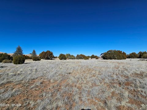Tiny photo for 1968 Ridgeway Road, Show Low, AZ 85901 (MLS # 257157)