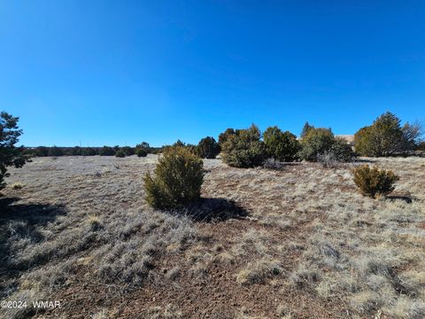 Tiny photo for 1968 Ridgeway Road, Show Low, AZ 85901 (MLS # 257157)