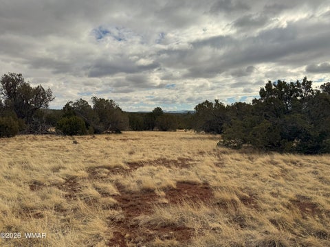Tiny photo for 14 Co, Vernon, AZ 85940 (MLS # 260444)