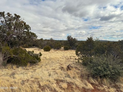 Photo of 14 Co, Vernon, AZ 85940 (MLS # 260444)