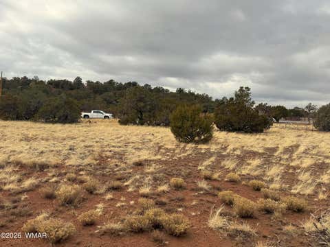 Tiny photo for 14 Co, Vernon, AZ 85940 (MLS # 260444)