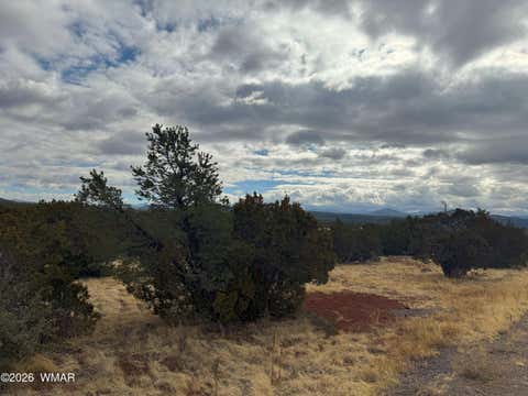 Tiny photo for 14 Co, Vernon, AZ 85940 (MLS # 260444)