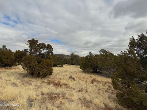 Tiny photo for 14 Co, Vernon, AZ 85940 (MLS # 260444)