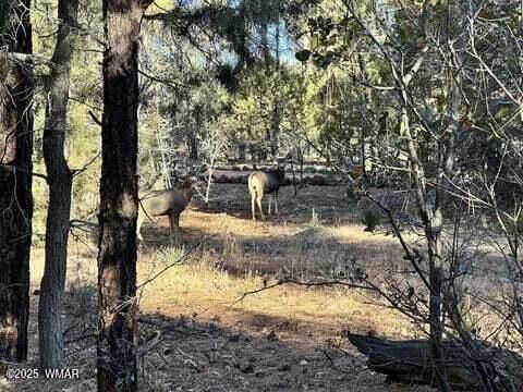 Tiny photo for 961 Ginnala Lane, Show Low, AZ 85901 (MLS # 258927)