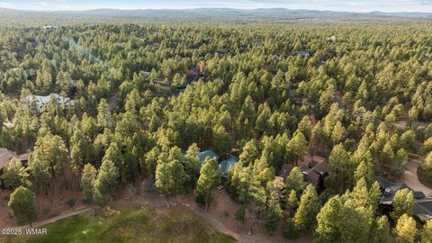 Tiny photo for 961 Ginnala Lane, Show Low, AZ 85901 (MLS # 258927)