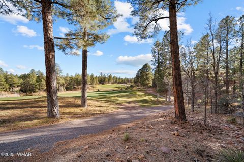 Tiny photo for 961 Ginnala Lane, Show Low, AZ 85901 (MLS # 258927)