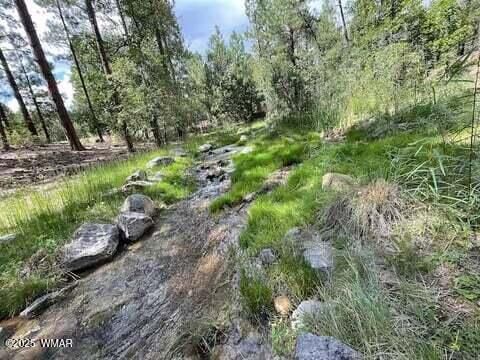 Tiny photo for 961 Ginnala Lane, Show Low, AZ 85901 (MLS # 258927)