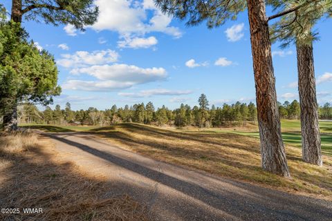 Tiny photo for 961 Ginnala Lane, Show Low, AZ 85901 (MLS # 258927)