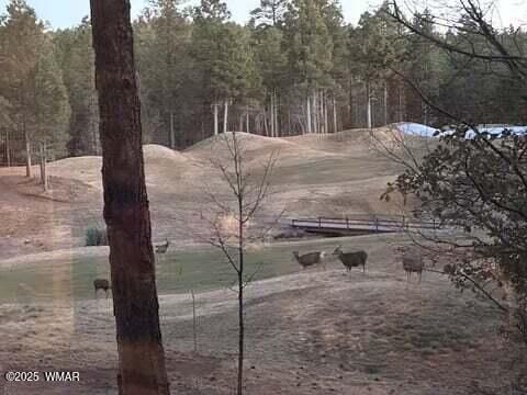 Tiny photo for 961 Ginnala Lane, Show Low, AZ 85901 (MLS # 258927)