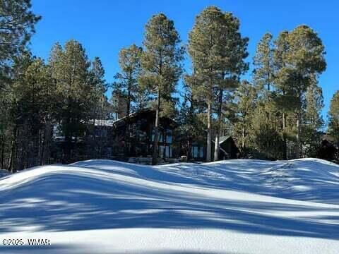 Tiny photo for 961 Ginnala Lane, Show Low, AZ 85901 (MLS # 258927)