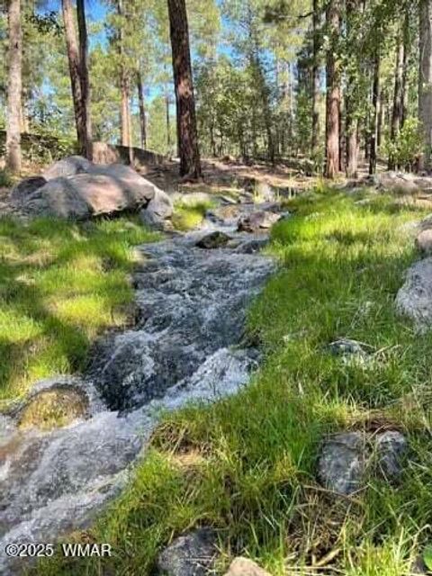 Tiny photo for 961 Ginnala Lane, Show Low, AZ 85901 (MLS # 258927)