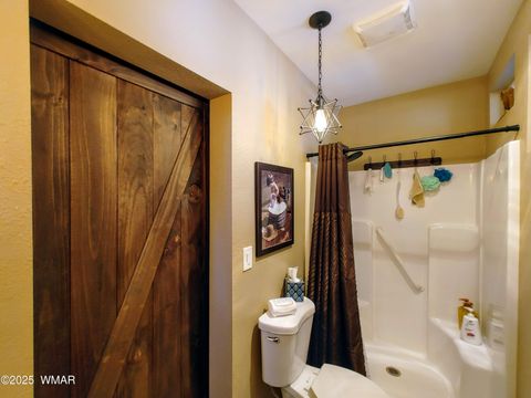 Tiny photo for 4481 S Elk Trot Loop, Show Low, AZ 85901 (MLS # 258788)