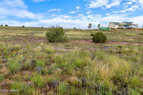 Tiny photo for 1191 W Pinedale Road, Taylor, AZ 85939 (MLS # 262343)