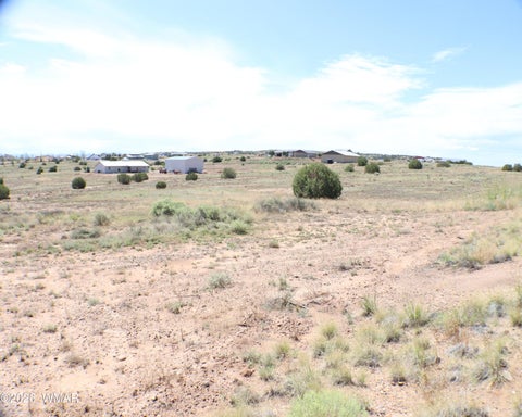 Tiny photo for 1191 W Pinedale Road, Taylor, AZ 85939 (MLS # 262343)