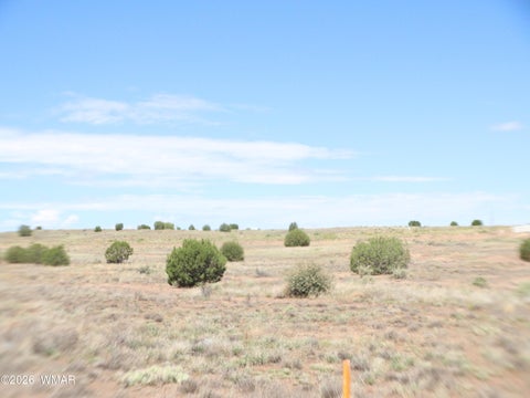 Photo of 1191 W Pinedale Road, Taylor, AZ 85939 (MLS # 262343)