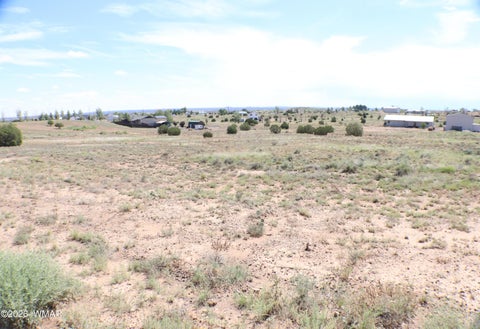 Tiny photo for 1191 W Pinedale Road, Taylor, AZ 85939 (MLS # 262343)