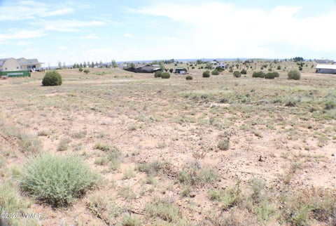 Tiny photo for 1191 W Pinedale Road, Taylor, AZ 85939 (MLS # 262343)