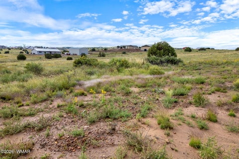 Tiny photo for 1191 W Pinedale Road, Taylor, AZ 85939 (MLS # 262343)