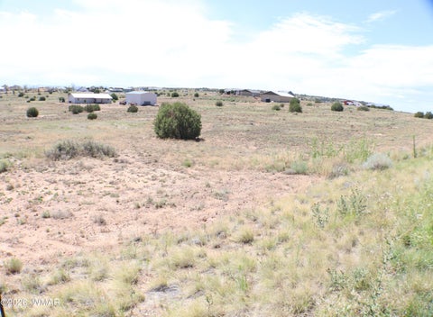 Tiny photo for 1191 W Pinedale Road, Taylor, AZ 85939 (MLS # 262343)